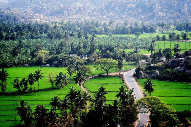 Lee Homestay Hampi Exterior foto